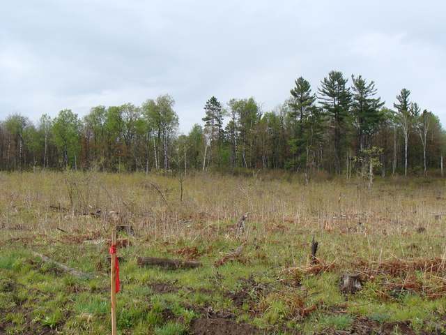 6-ac Steele Road Harshaw, WI 54529 - Photo 4 of 6 Gallery Image 4