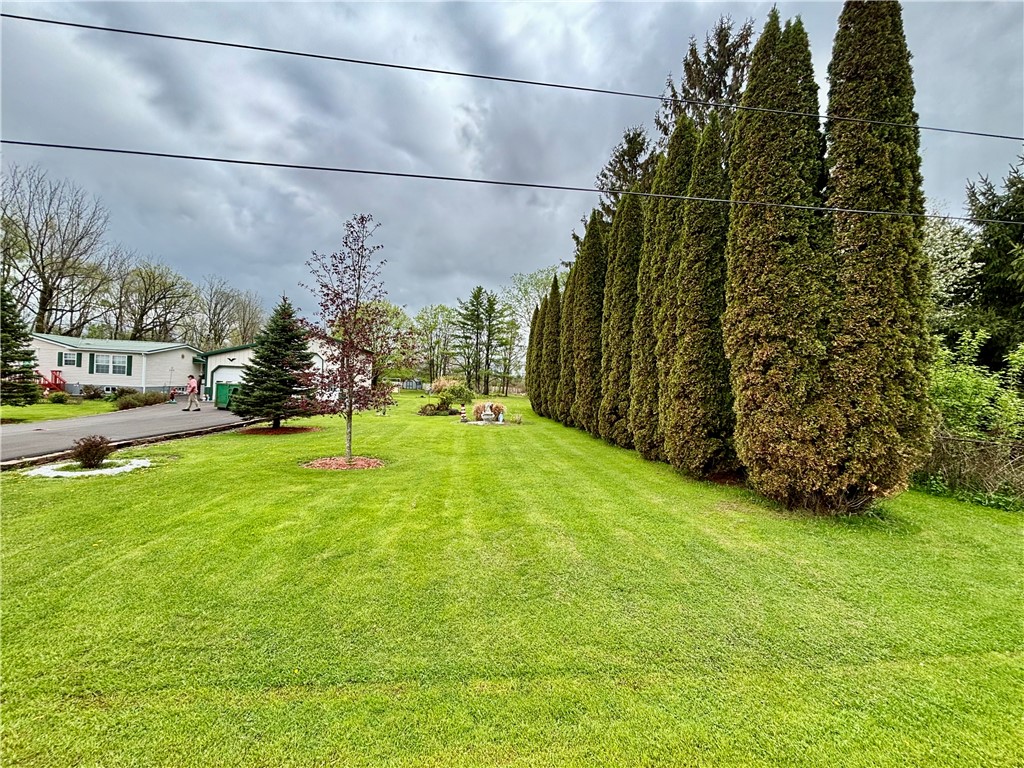 397 Jerry Smith Road Lansing, NY 14882 - Photo 9 of 43