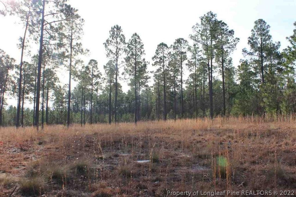 Lot 7 Thunder Road Pinebluff, NC 28373 - Photo 1 of 5 Gallery Image 1