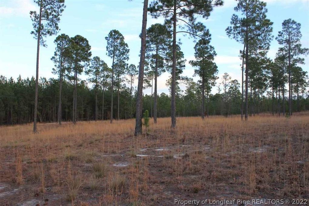 Lot 7 Thunder Road Pinebluff, NC 28373 - Photo 3 of 5 Gallery Image 3