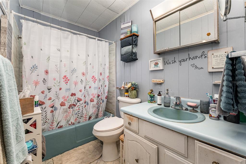 910 Bumby Lane Wauchula, FL 33873 - Photo 19 of 37 a bathroom with a sink a toilet and shower curtain