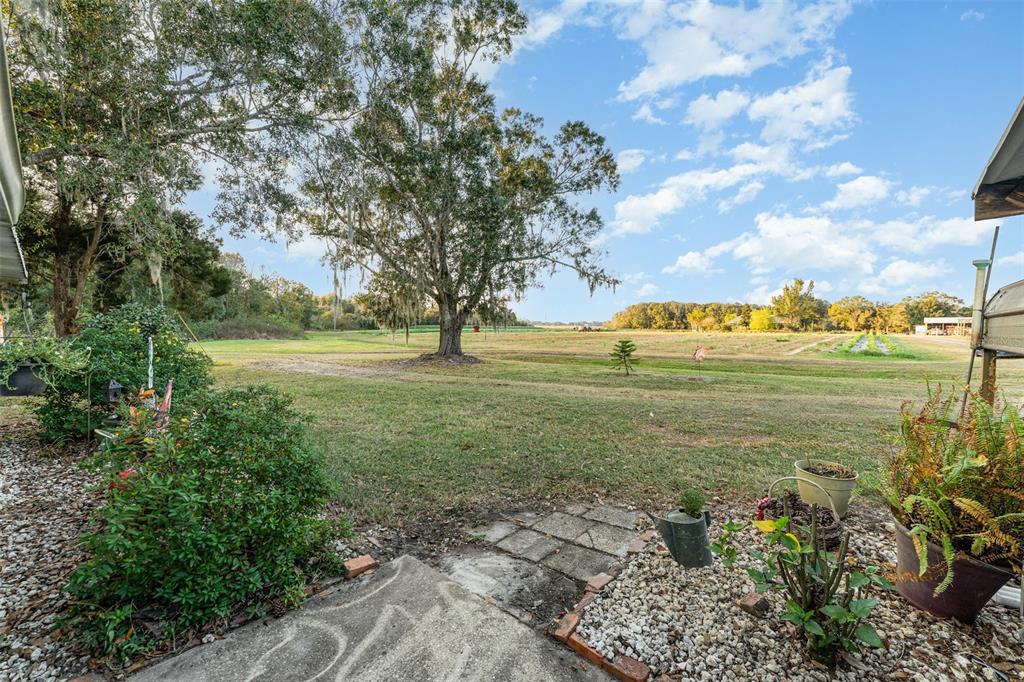 910 Bumby Lane Wauchula, FL 33873 - Photo 28 of 37 a view of a lake with a big yard