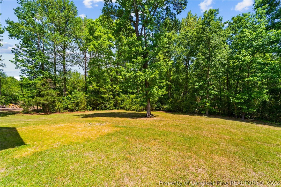 156 Ridge Stone Drive Autryville, NC 28318 - Photo 30 of 38 Gallery Image 30