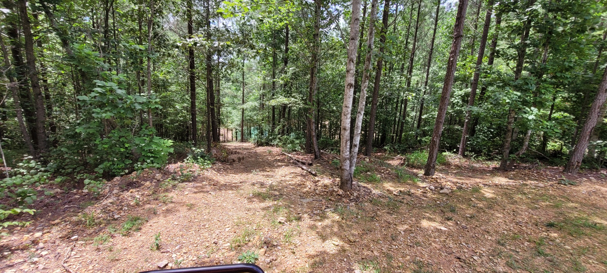167 Freeman Fielder Road Tennessee Ridge, TN 37178 - Photo 31 of 60