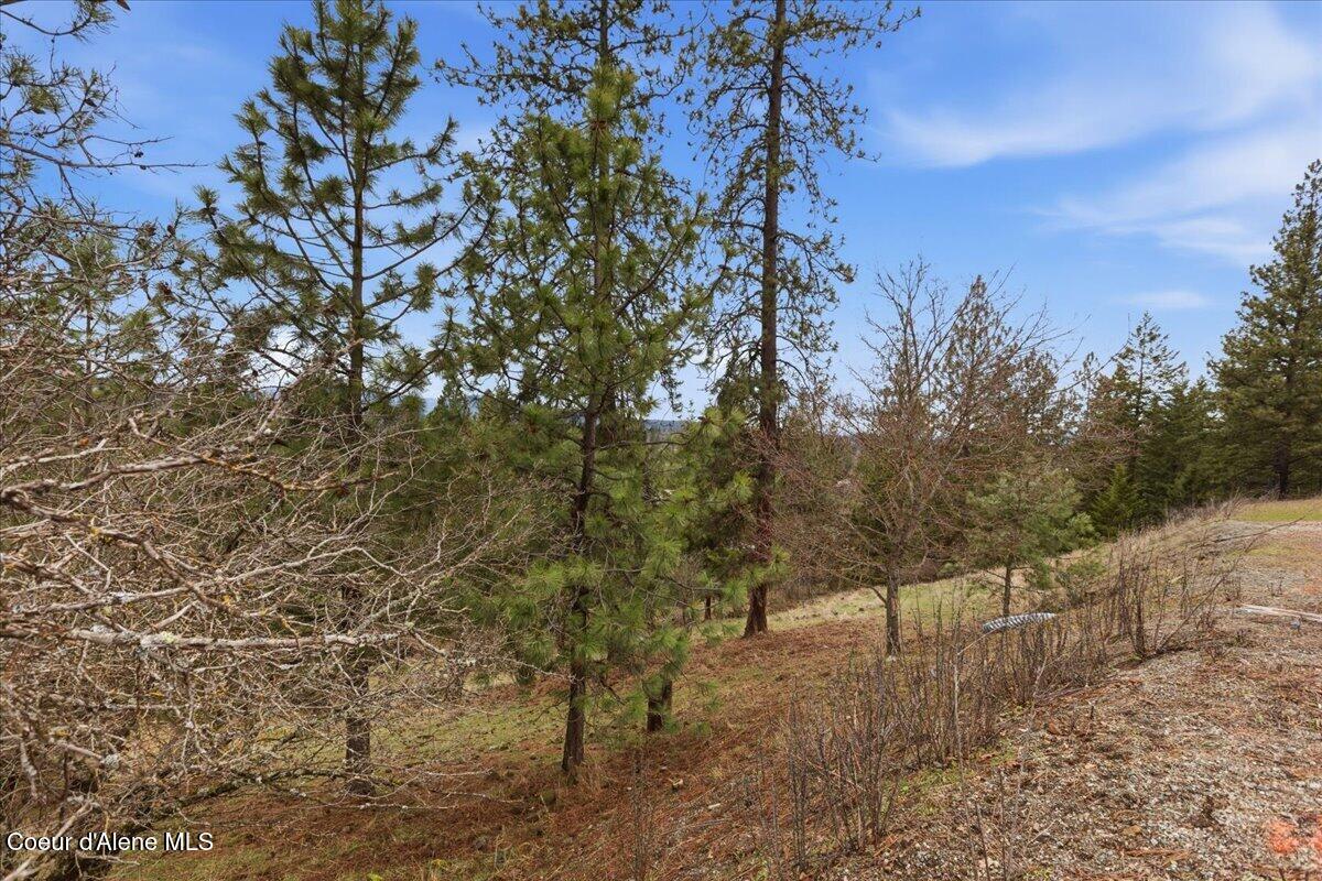 2594 East Fernan Hill Road Coeur D'Alene, ID 83814 - Photo 15 of 21 14-2594 E Fernan Hill Rd_RedHogMedia