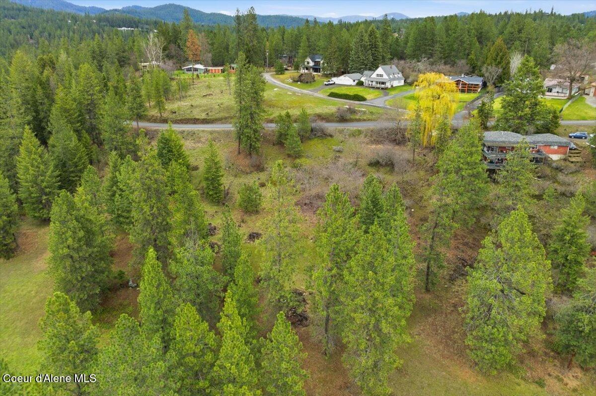 2594 East Fernan Hill Road Coeur D'Alene, ID 83814 - Photo 10 of 21 09-2594 E Fernan Hill Rd_RedHogMedia