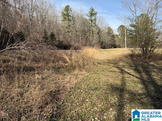 2247 Lock 3 Road Ragland, AL 35131 - Photo 4 of 4
