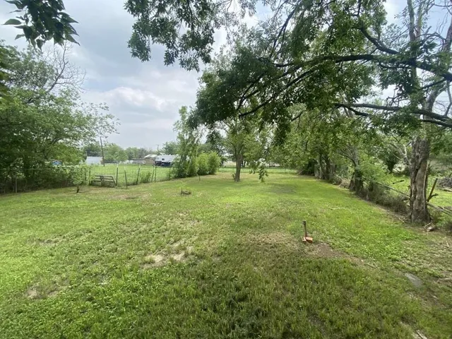 a view of a field with a tree