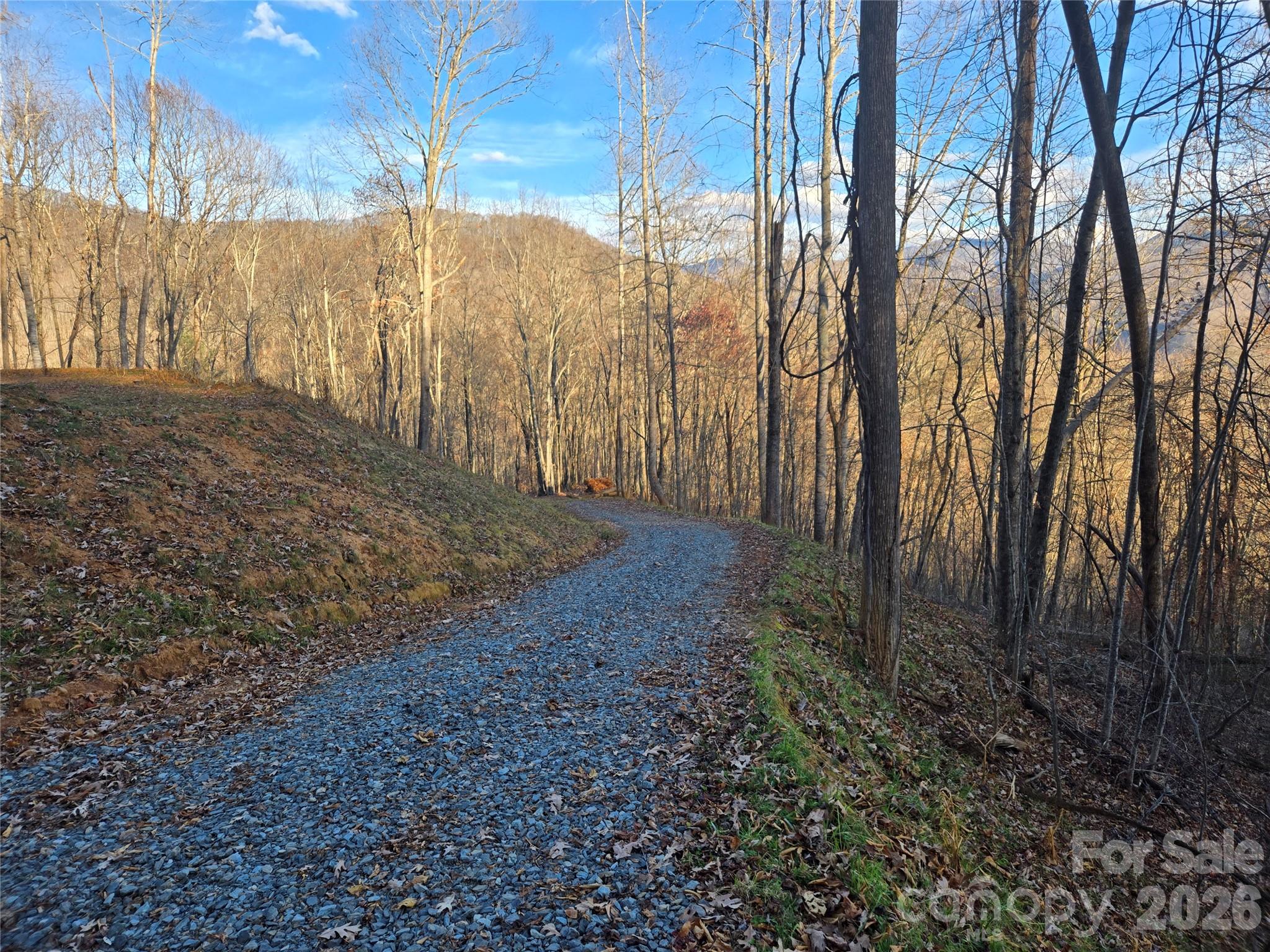 0 Brasstown Road Cullowhee, NC 28723 - Photo 9 of 37 Gallery Image 9