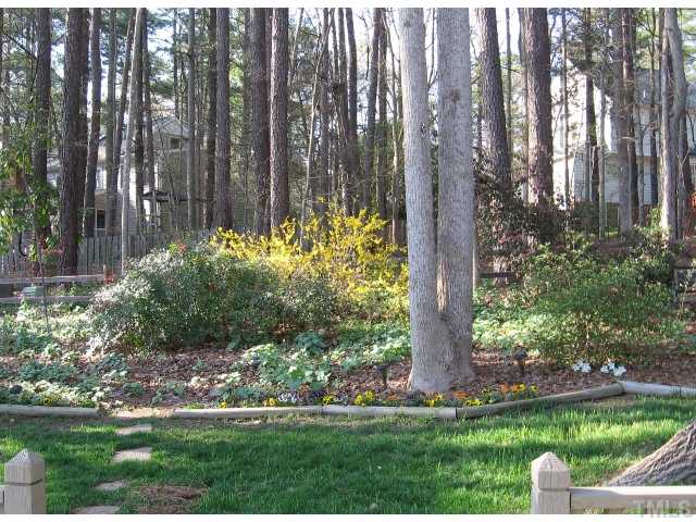 210 Winterberry Ridge Drive Durham, NC 27713 - Photo 17 of 24 Raised bed and privacy
