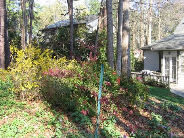 210 Winterberry Ridge Drive Durham, NC 27713 - Photo 21 of 24 View from the back yard looking toward the house