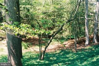 1812 Concord Road Seaford, DE 19973 - Photo 3 of 3 Gallery Image 3