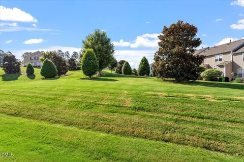 a view of a big yard with plants and large trees