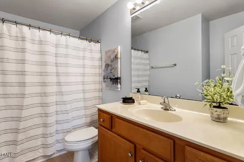 a bathroom with a sink a toilet and shower curtain