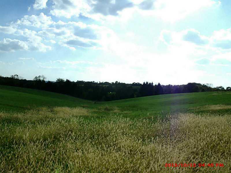 1860 Green Valley Road Vevay, IN 47043 - Photo 4 of 13