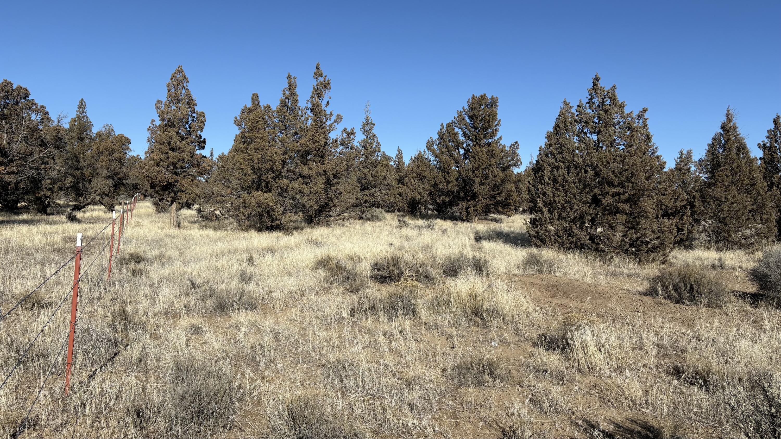 0 Northwest McDaniel Road Powell Butte, OR 97753 - Photo 15 of 19 IMG_5069