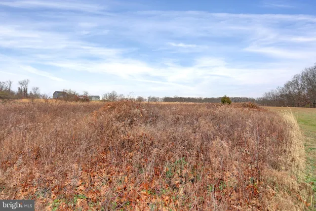 a view of lake and mountain