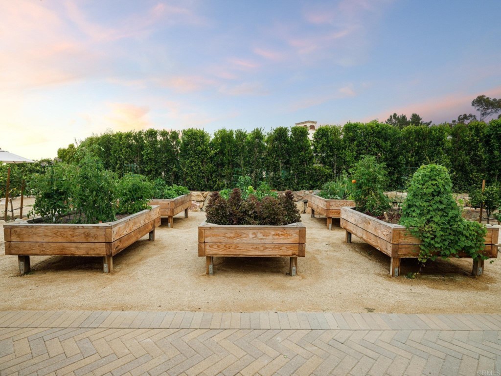 5516 La Crescenta Road Rancho Santa Fe, CA 92067 - Photo 64 of 68 a backyard of a house with outdoor seating and green space
