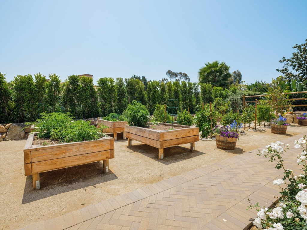 5516 La Crescenta Road Rancho Santa Fe, CA 92067 - Photo 65 of 68 a view of a terrace with sitting area