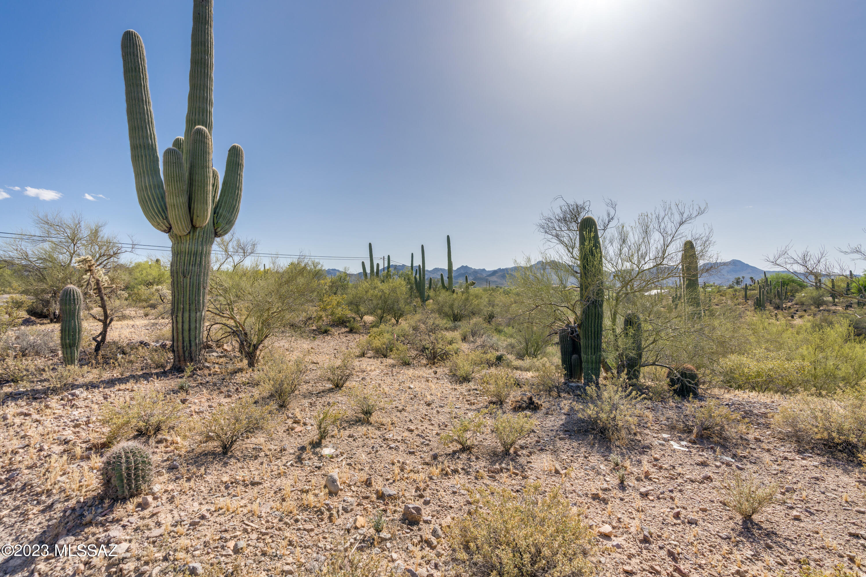 Tbd West Goret Road Tucson, AZ 85745 - Photo 17 of 17