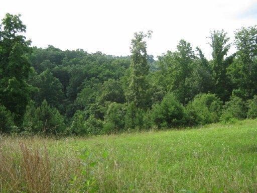 Big Pine Point Road La Follette, TN 37766 - Photo 3 of 10 20150723203808871297000000-o