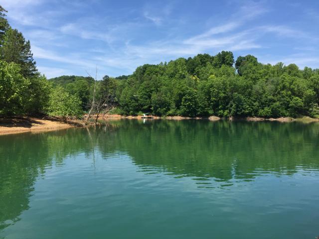 Big Pine Point Road La Follette, TN 37766 - Photo 4 of 10 20170608143536898980000000-o