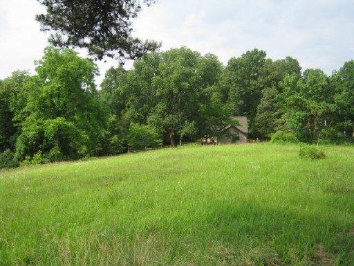 Big Pine Point Road La Follette, TN 37766 - Photo 5 of 10 20150723203808920568000000-o