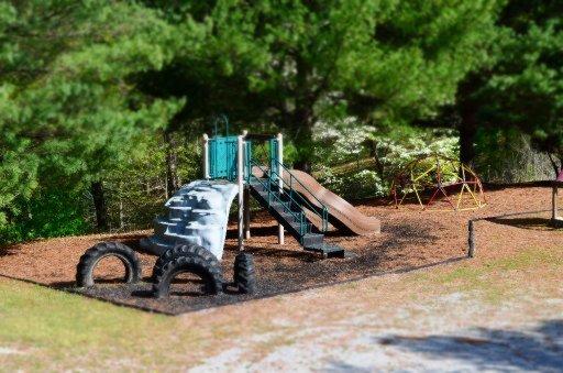 Big Pine Point Road La Follette, TN 37766 - Photo 10 of 10 20150723203809357346000000-o