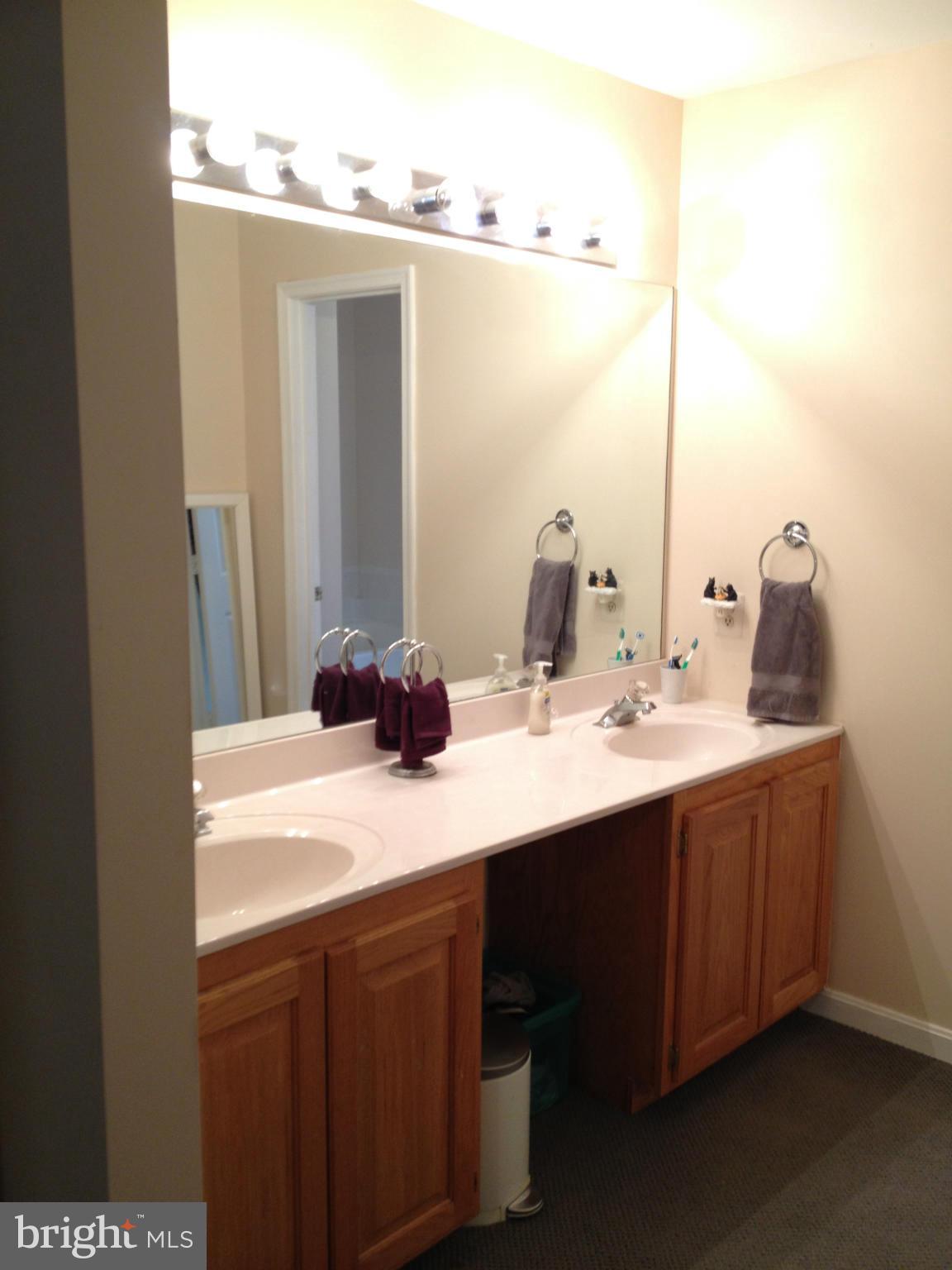7244 Wilson Road Marshall, VA 20115 - Photo 14 of 30 a bathroom with a sink and a mirror