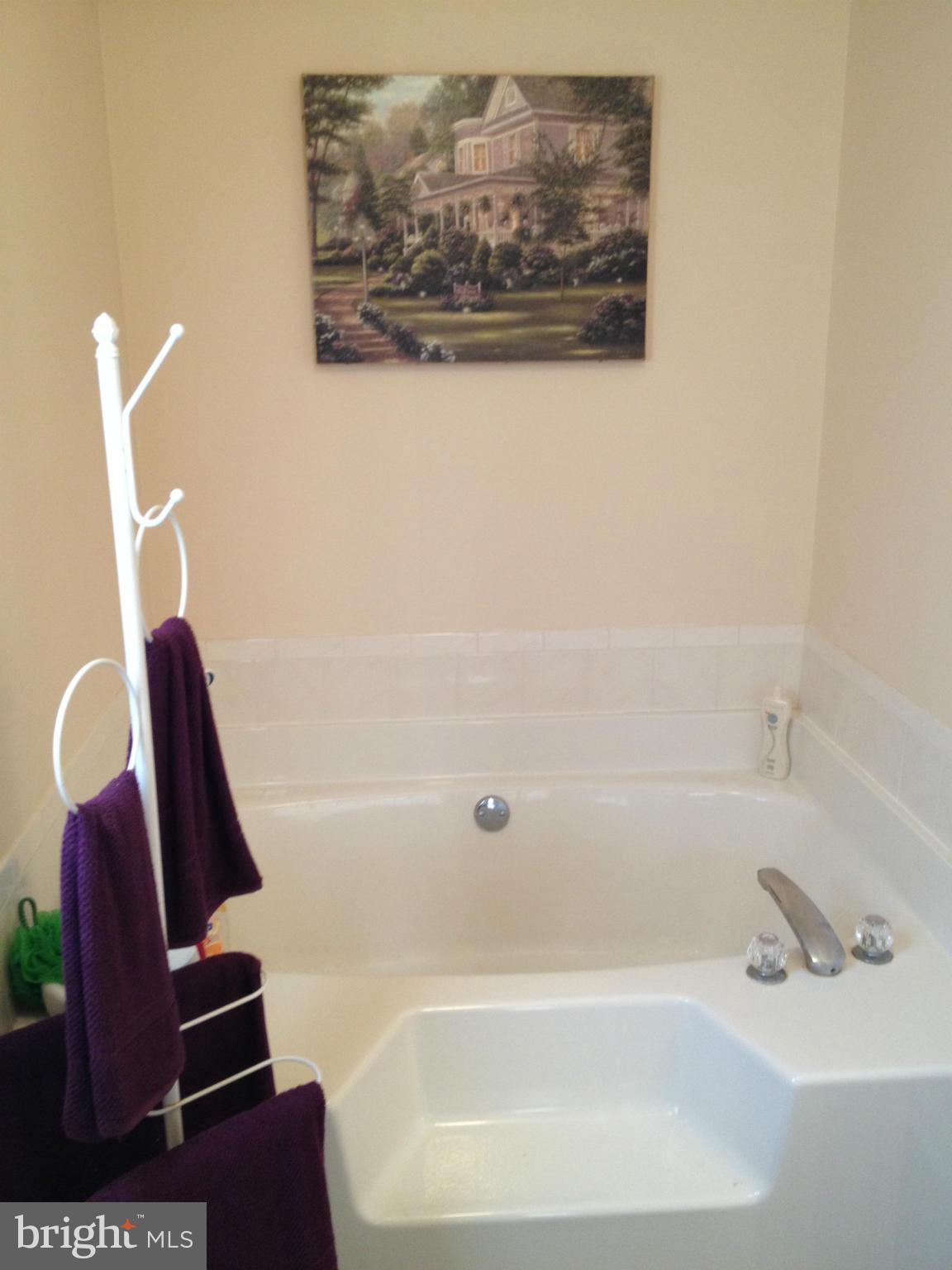 7244 Wilson Road Marshall, VA 20115 - Photo 15 of 30 a bathroom with a bathtub and a sink