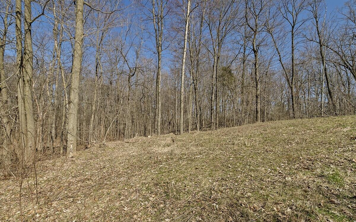 8133 Cascade Road Southeast Ada, MI 49301 - Photo 3 of 8 20220427145801377383000000-o