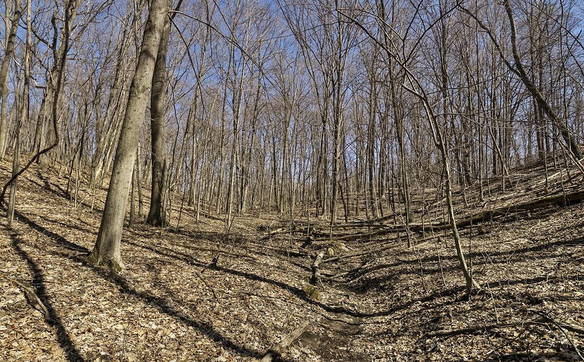 8133 Cascade Road Southeast Ada, MI 49301 - Photo 5 of 8 20220427145746655014000000-o