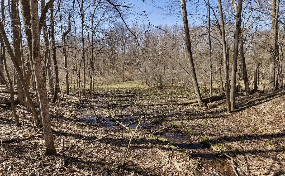 8133 Cascade Road Southeast Ada, MI 49301 - Photo 6 of 8 20220427145753065013000000-o