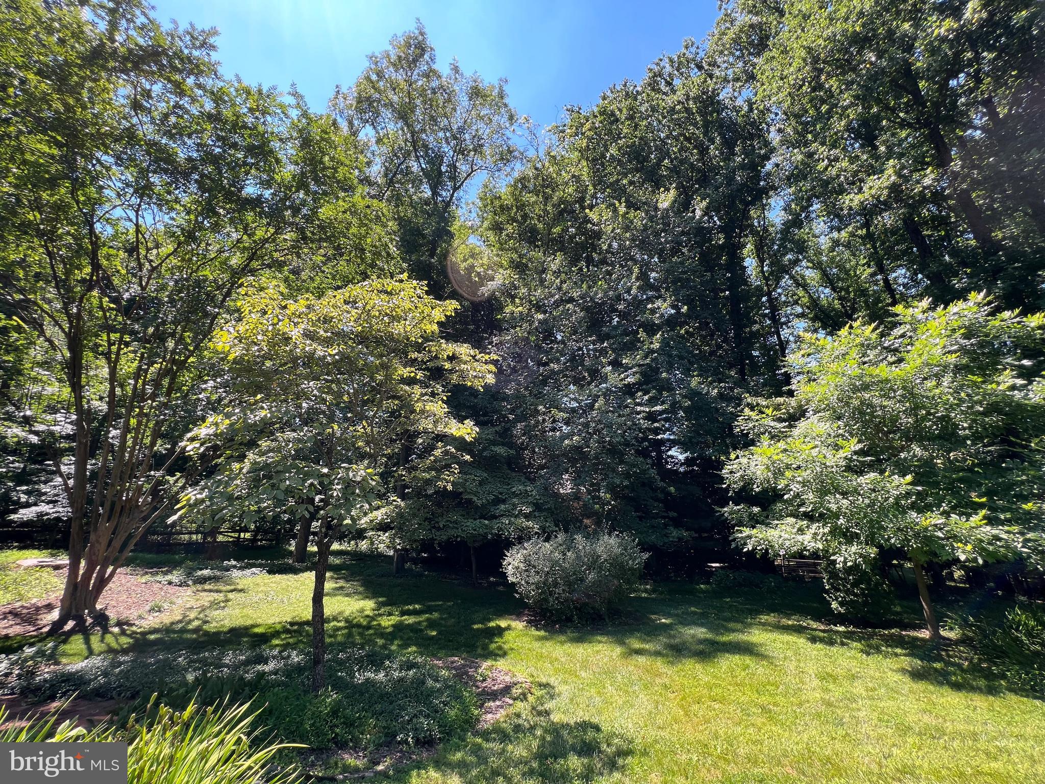6 Redgate Court Silver Spring, MD 20905 - Photo 31 of 38 Wooded Backyard