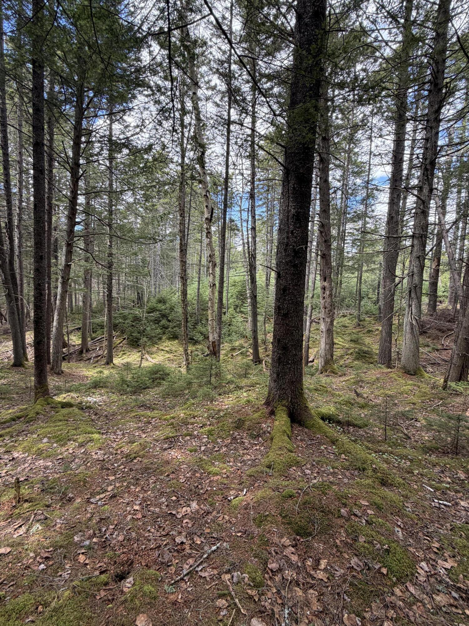 108 B Flying Point Road Freeport, ME 04032 - Photo 15 of 31 IMG_8698
