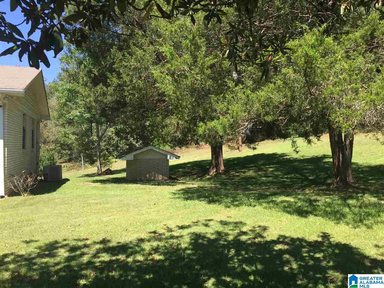4191 Spunky Hollow Road Remlap, AL 35133 - Photo 24 of 29