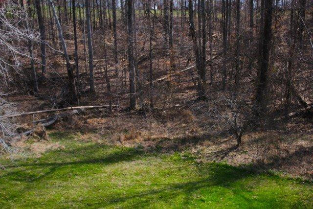 726 Mccausey Ridge Road Frenchburg, KY 40322 - Photo 23 of 23 Photo 23