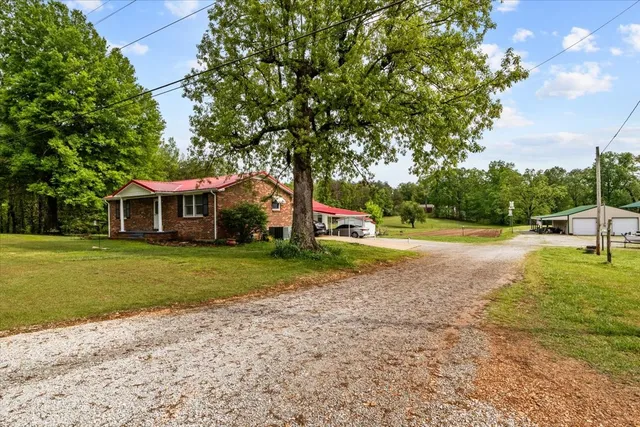 a view of a park with large trees