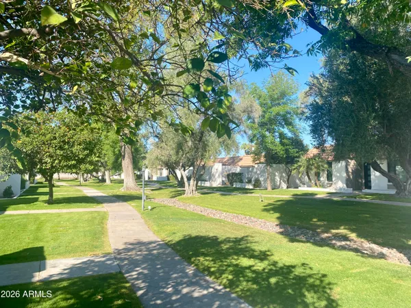 a view of a backyard
