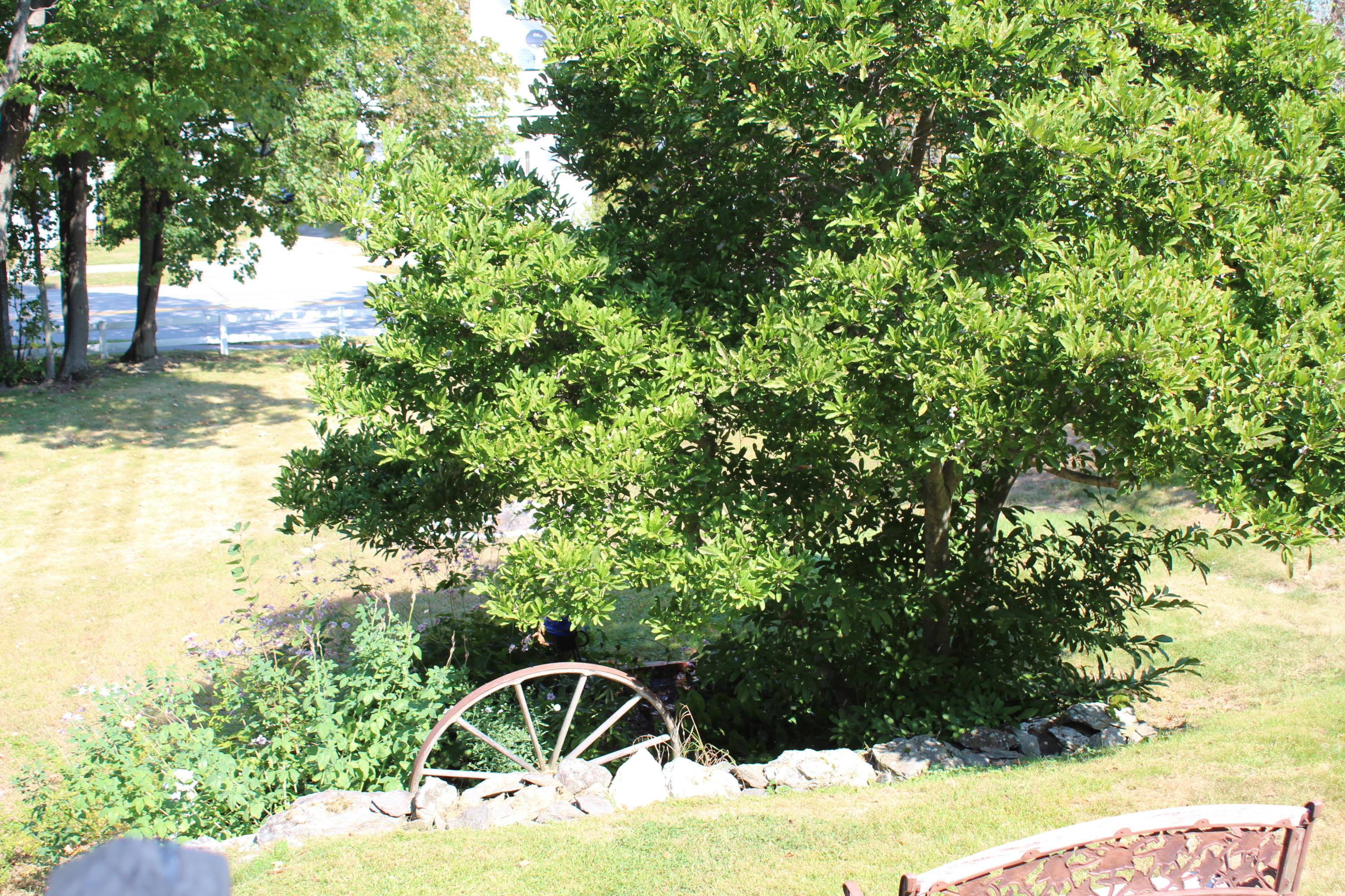 13 Thomas Hill Road Bangor, ME 04401 - Photo 46 of 51 IMG_0273