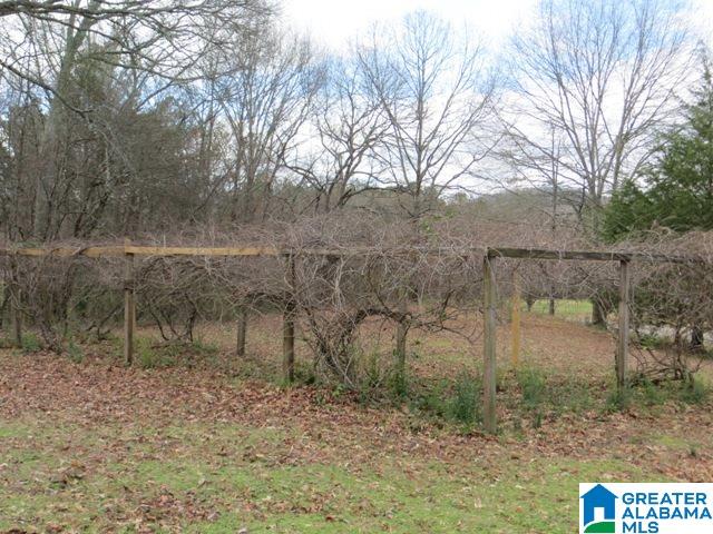 1566 Jackson Trace Road Talladega, AL 35160 - Photo 47 of 47