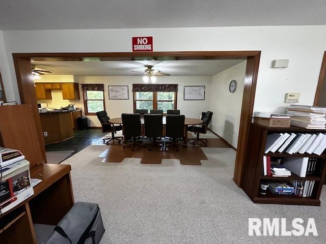 35 Main Street Exeter, IL 62621 - Photo 5 of 16