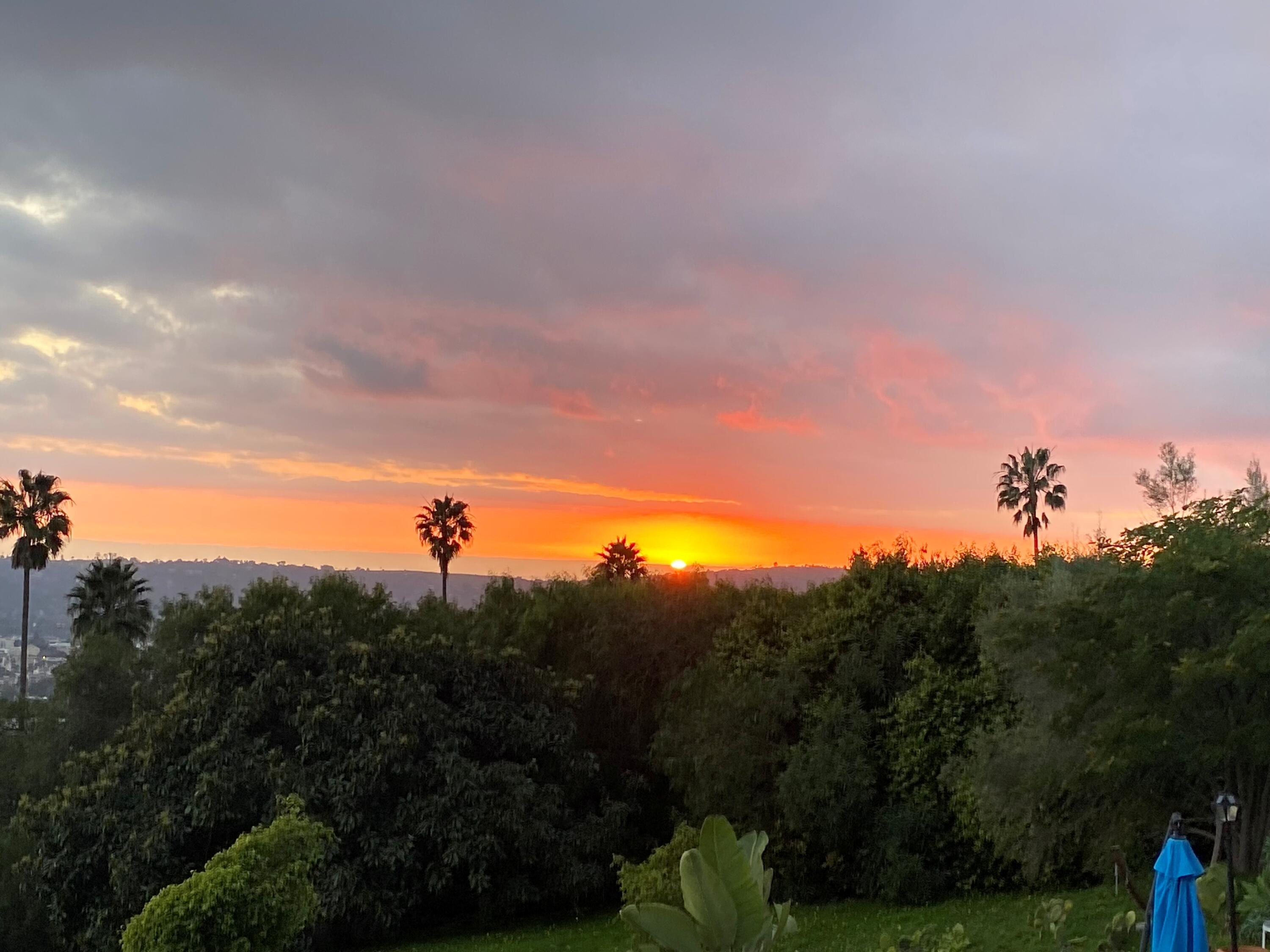 40 Rincon Vista Road Santa Barbara, CA 93103 - Photo 11 of 11 a view of a city with lush green forest