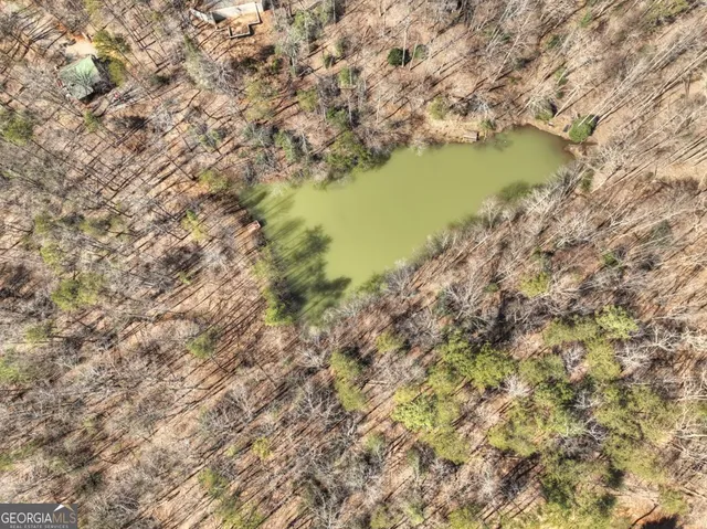 a view of a mountain in the distance