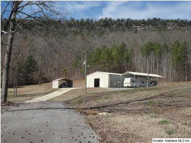 12962 Gallant Road Gallant, AL 35972 - Photo 2 of 32