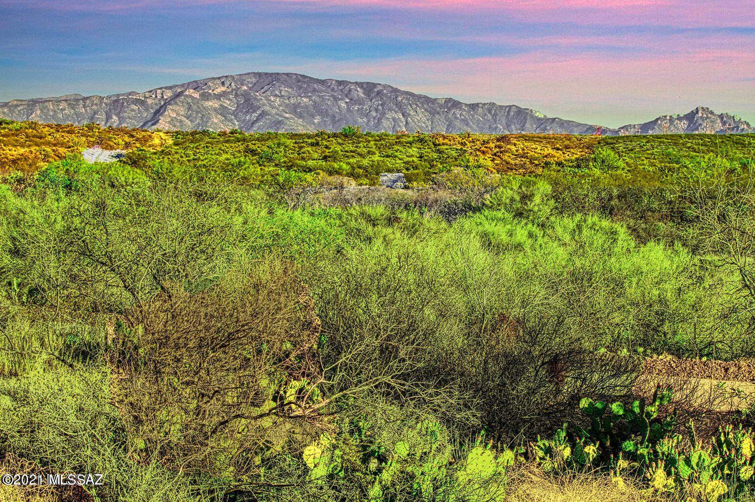 0 East Panther Butte Road Tucson, AZ 85739 - Photo 3 of 10