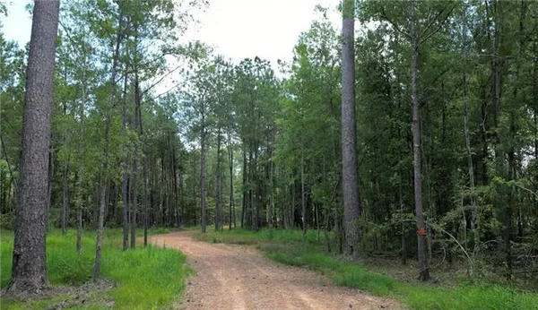 $90,000 | 35072 La-43 Highway, Independence, LA 70443