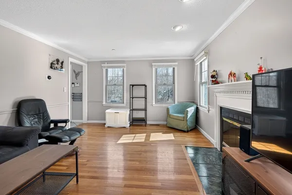 a living room with furniture wooden floor and a fireplace
