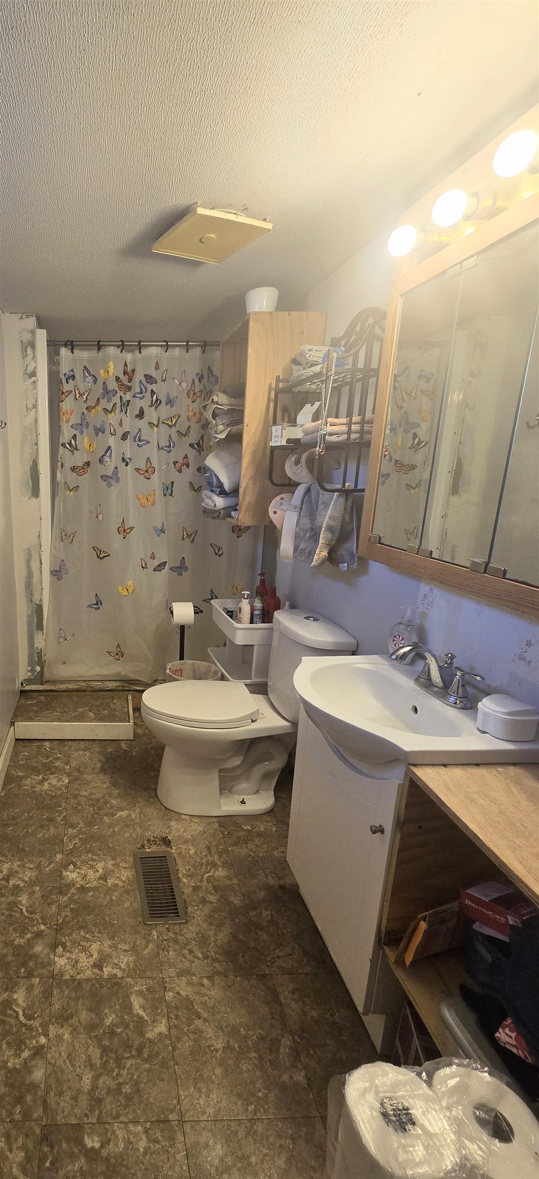 3990 North Ferris Road Riverdale, MI 48877 - Photo 9 of 11