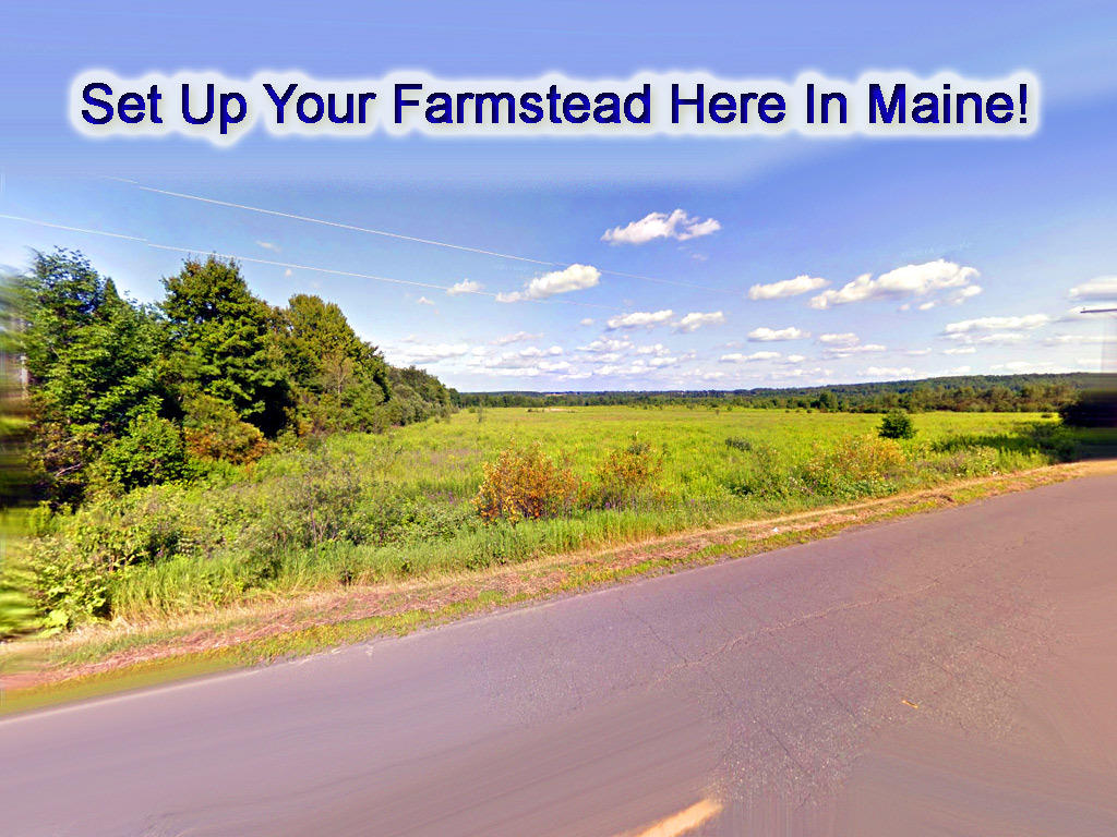 Lot 12 New Limerick Road Houlton, ME 04730 - Photo 11 of 32 new-limerick-rd-linneus-1